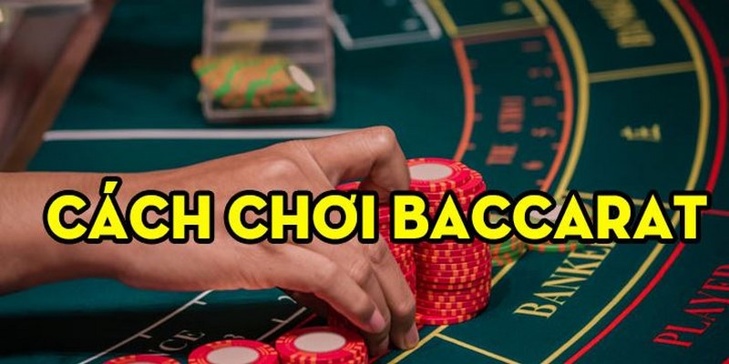 Cược Baccarat có diễn biến nhanh chóng qua quy trình đơn giản